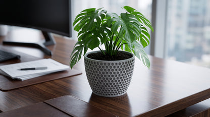 Modern Geometric Indoor Plant Pot | Decorative Office & Home Planter