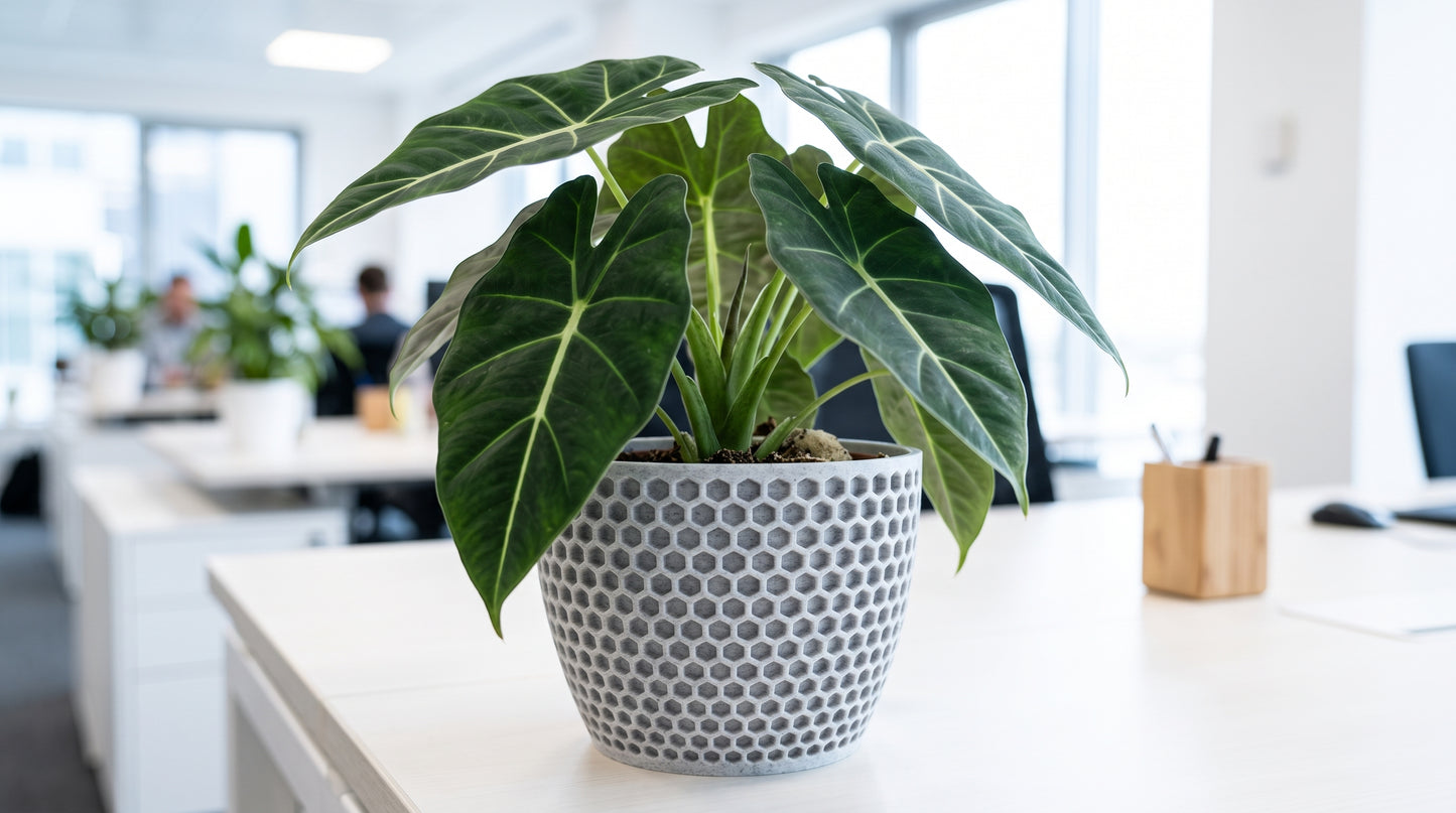 Modern Geometric Indoor Plant Pot | Decorative Office & Home Planter