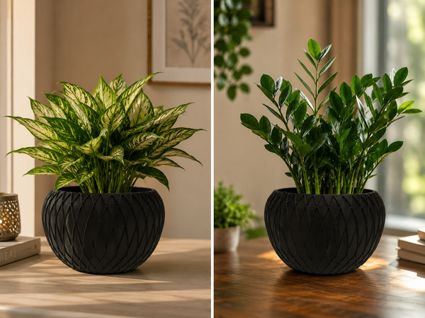 modern-black-decorative-indoor-plant-pot
