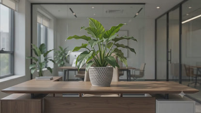 Modern Geometric Indoor Plant Pot | Decorative Office & Home Planter